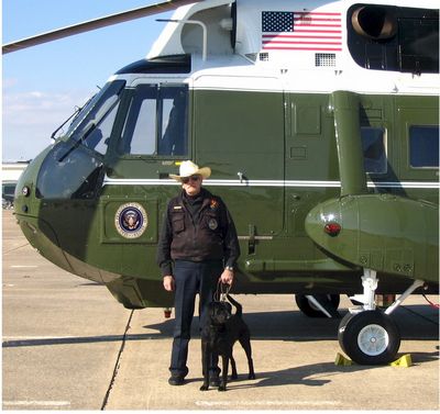 Chick and JJ the Bomb Dog